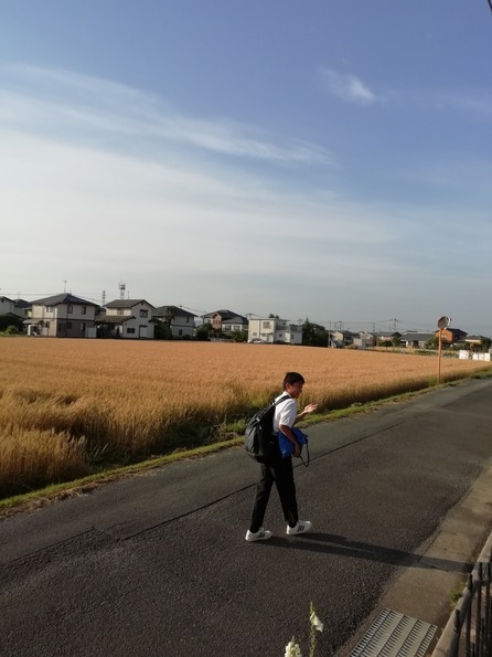 IMG_20190522_064253_1