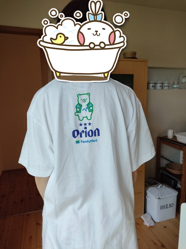 2025-07-26-13-57-50-337