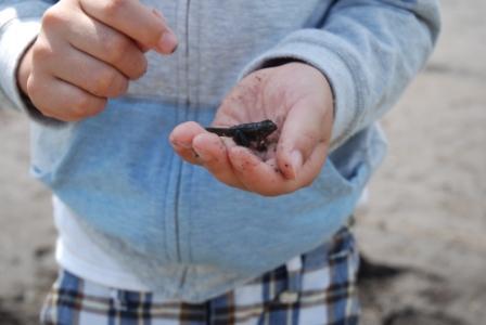 うさぎ食堂へようこそ