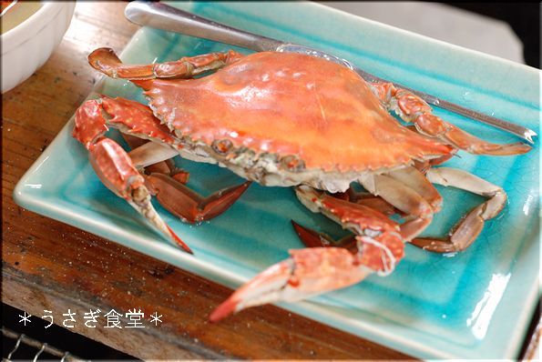 ★うさぎ食堂へようこそ★