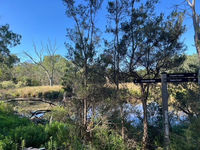 Point Blur_20260307_174944