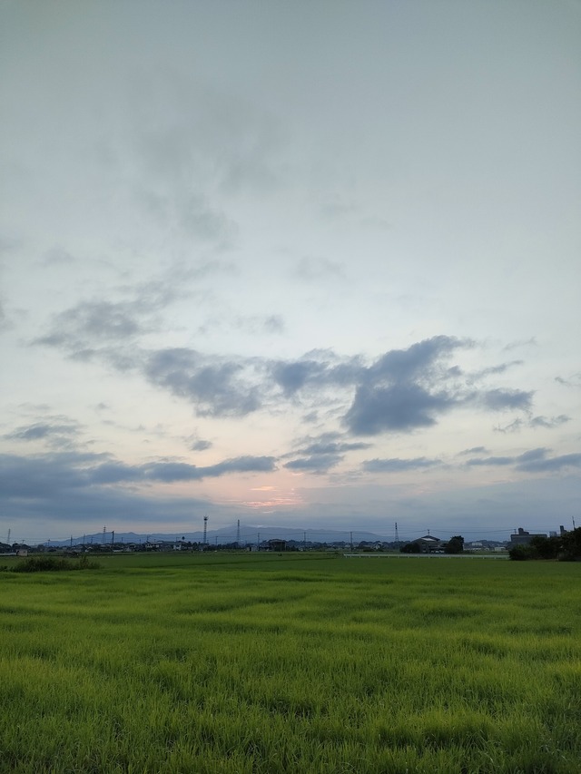 IMG20260813055025