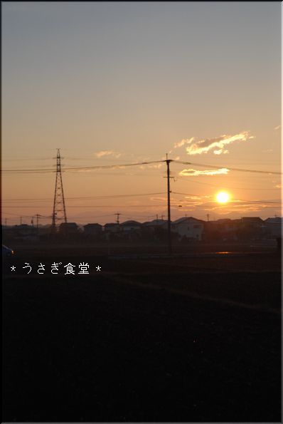 ★うさぎ食堂へようこそ★