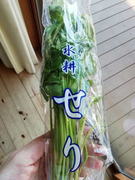 IMG_20190315_073857_1