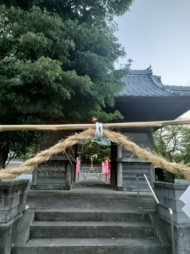 IMG20260813054717