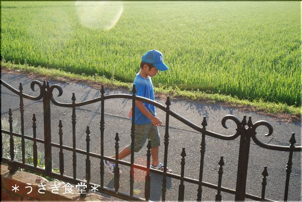 ★うさぎ食堂へようこそ★