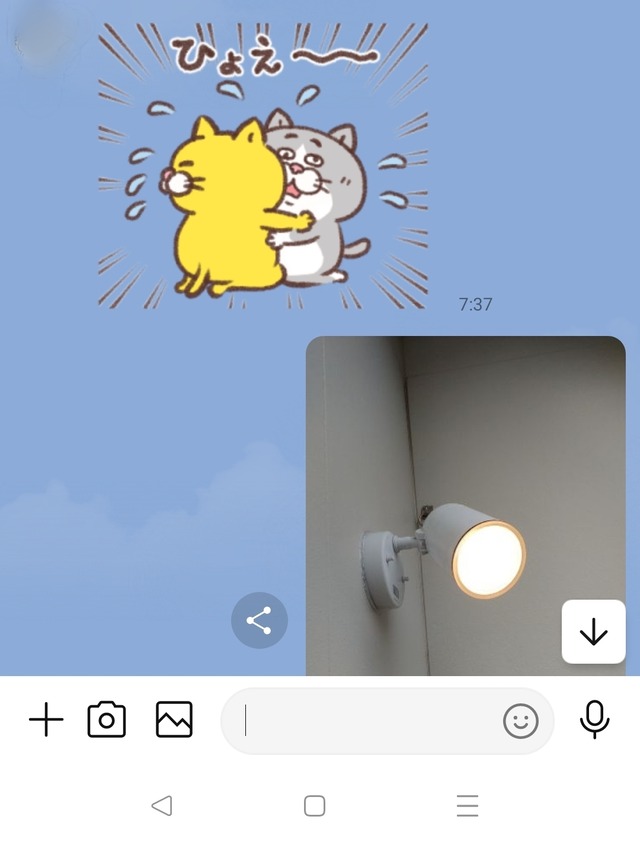 Point Blur_20260409_162407