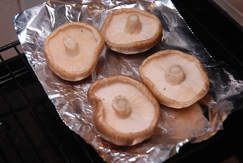 ★うさぎ食堂へようこそ★