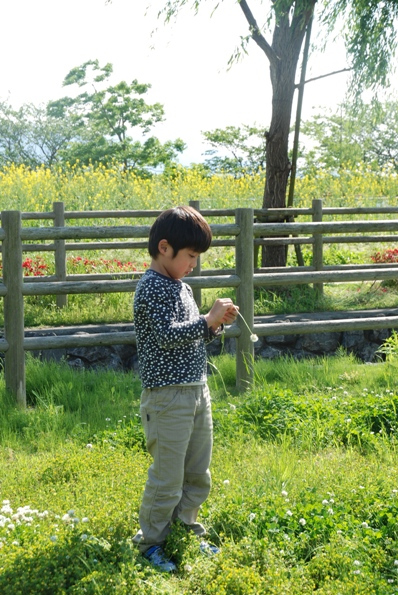 ★うさぎ食堂へようこそ★