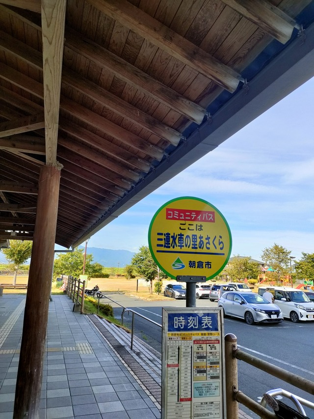 IMG20260811081533