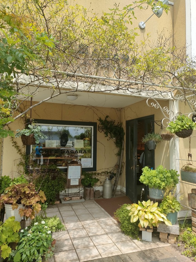 IMG20260719110256