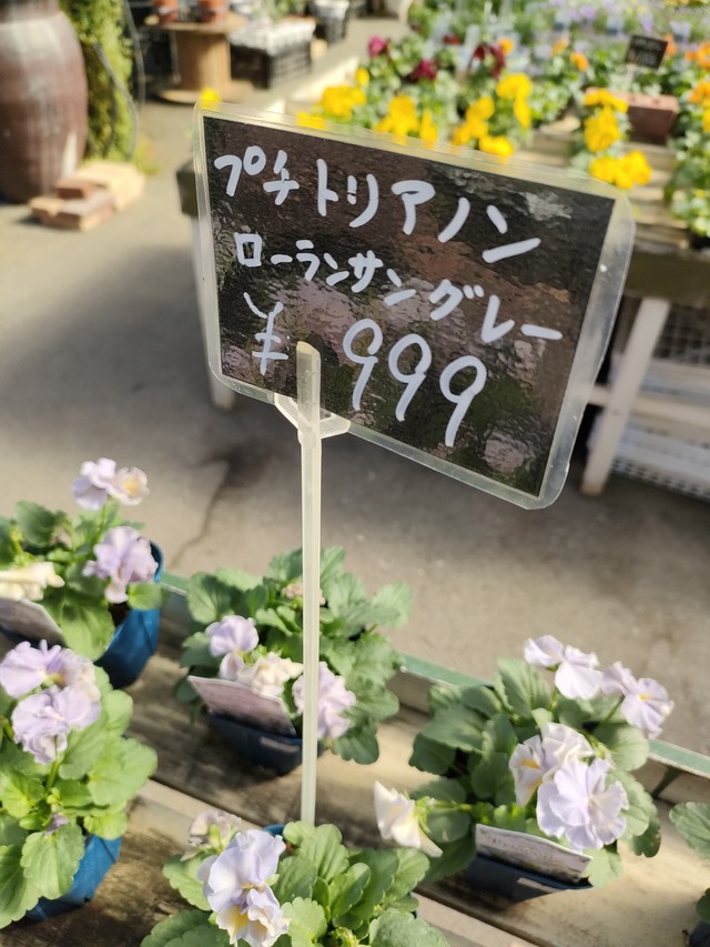 IMG20251116115633