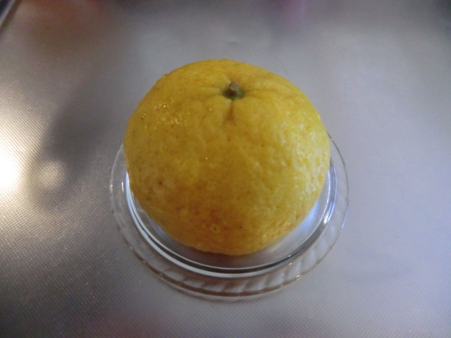 パジャマでうさぎのブログ