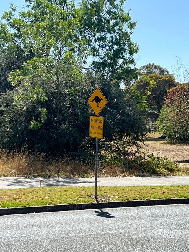 Point Blur_20260305_162421