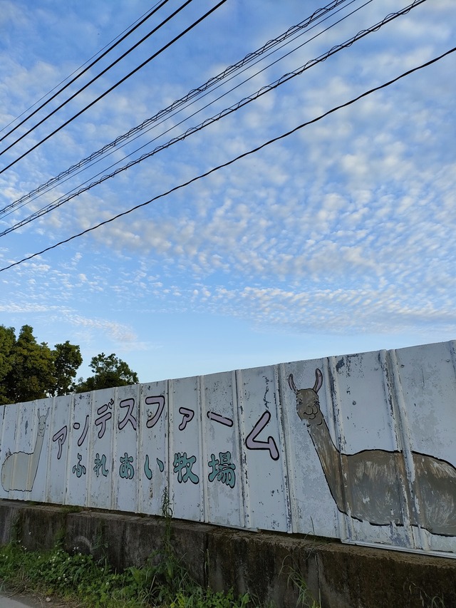 IMG20260502182617