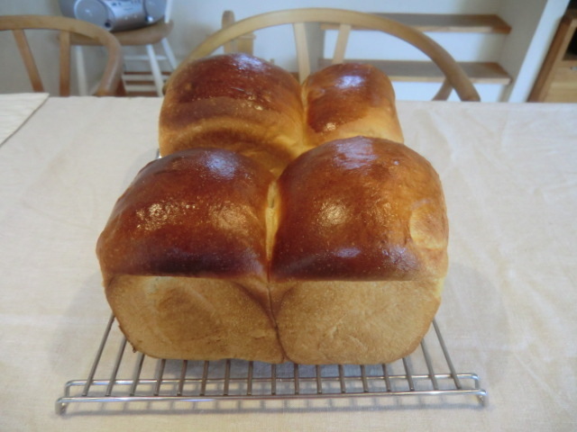 パジャマでうさぎのブログ