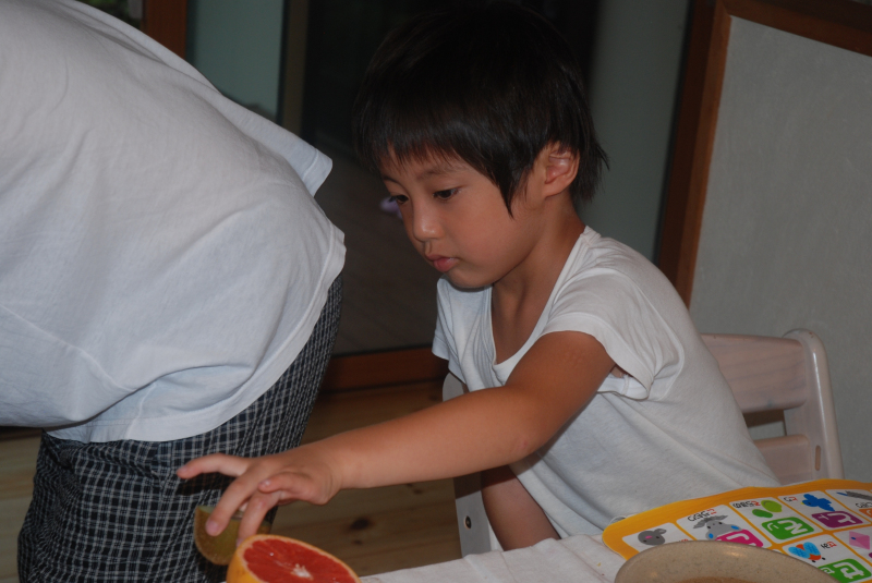 ★うさぎ食堂へようこそ★