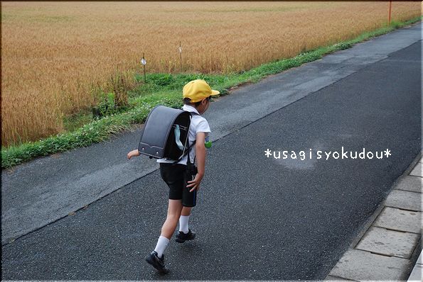 ★うさぎ食堂へようこそ★