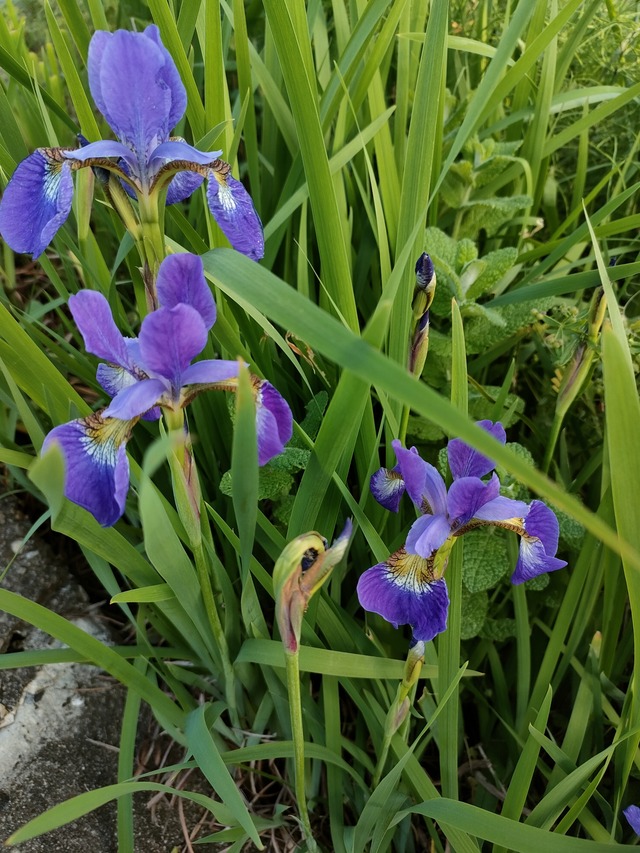 IMG20260502180401