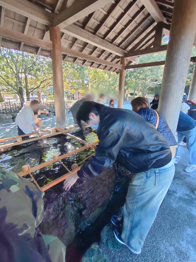 Point Blur_20251124_080750