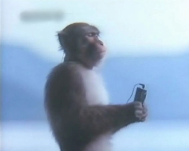 Point Blur_20251111_114320