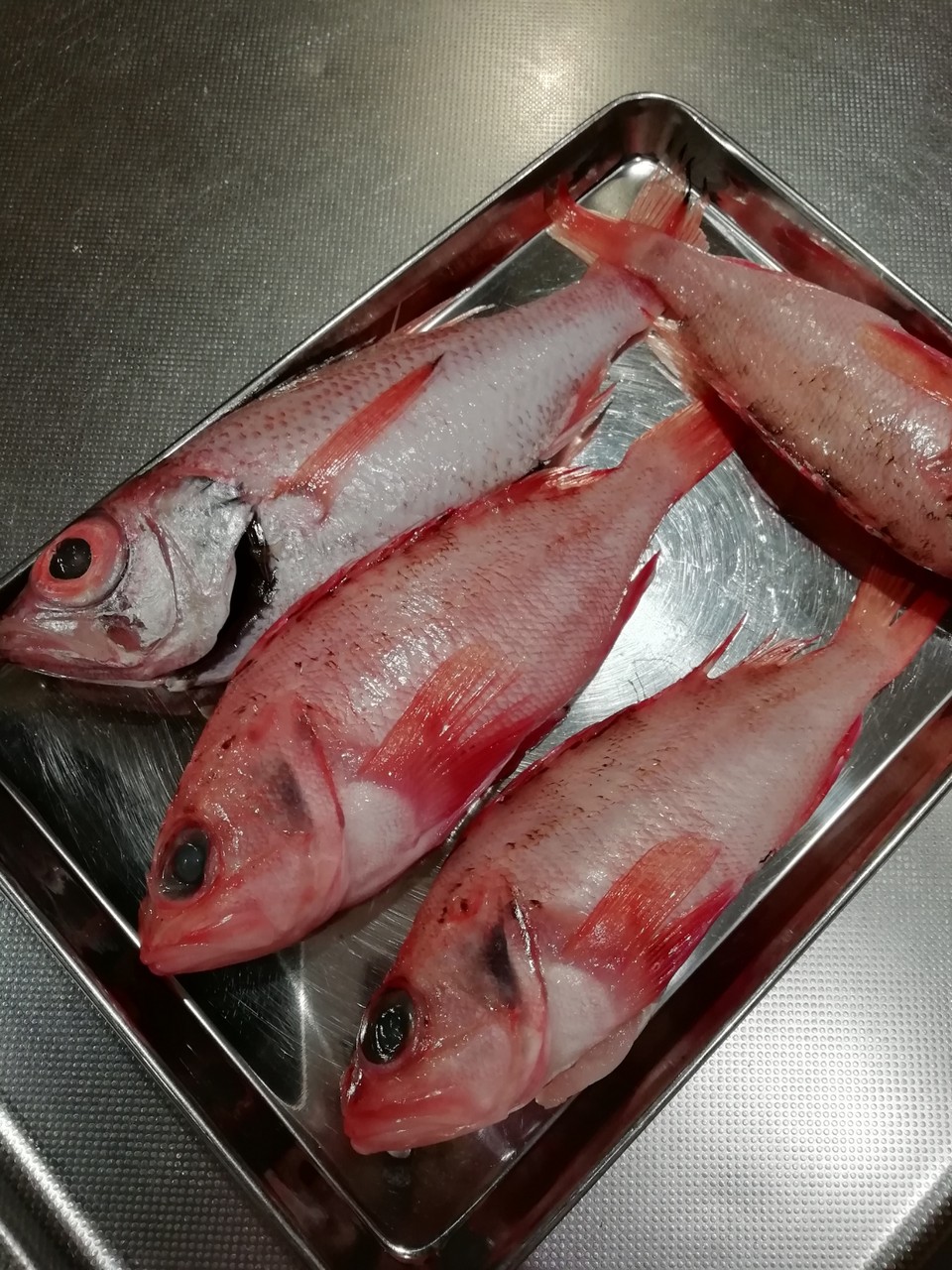 お魚メインの献立 高級魚ノドグロ編 うさぎ食堂へようこそ Powered By ライブドアブログ お魚メインの献立 高級魚ノドグロ編 うさぎ食堂へようこそ Powered By ライブドアブログ