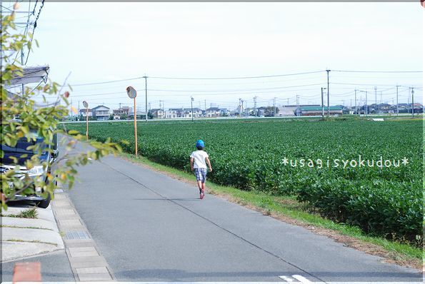 ★うさぎ食堂へようこそ★