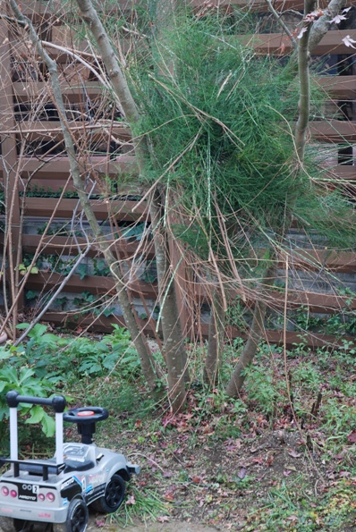 ★うさぎ食堂へようこそ★