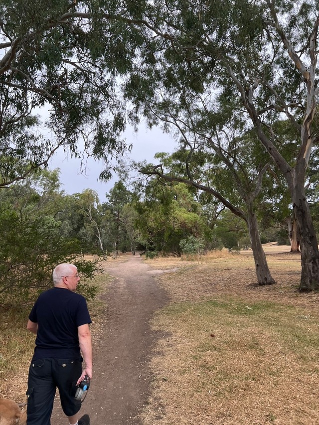 Point Blur_20260304_185429