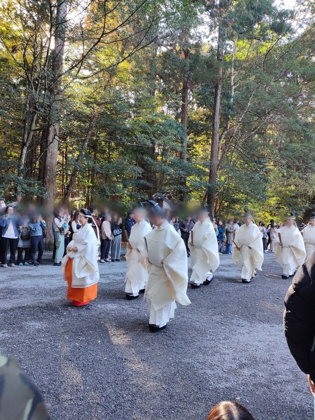 Point Blur_20251124_081021