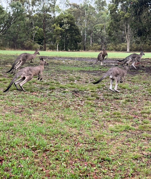 Point Blur_20260307_175012