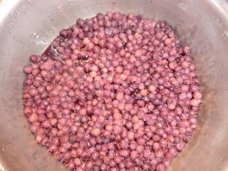 パジャマでうさぎのブログ