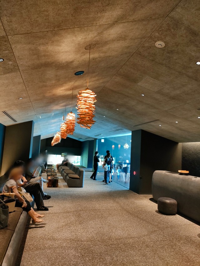 Point Blur_20240817_195857