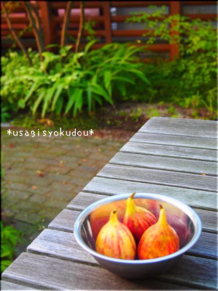 ★うさぎ食堂へようこそ★