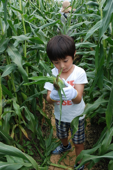 ★うさぎ食堂へようこそ★