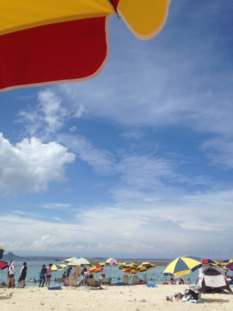 {05515411-4656-49D7-B1DA-43A6AB25F2FF:01}