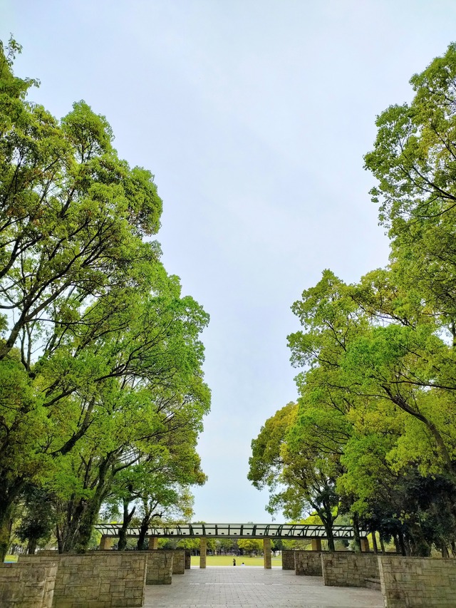 IMG20260411174448