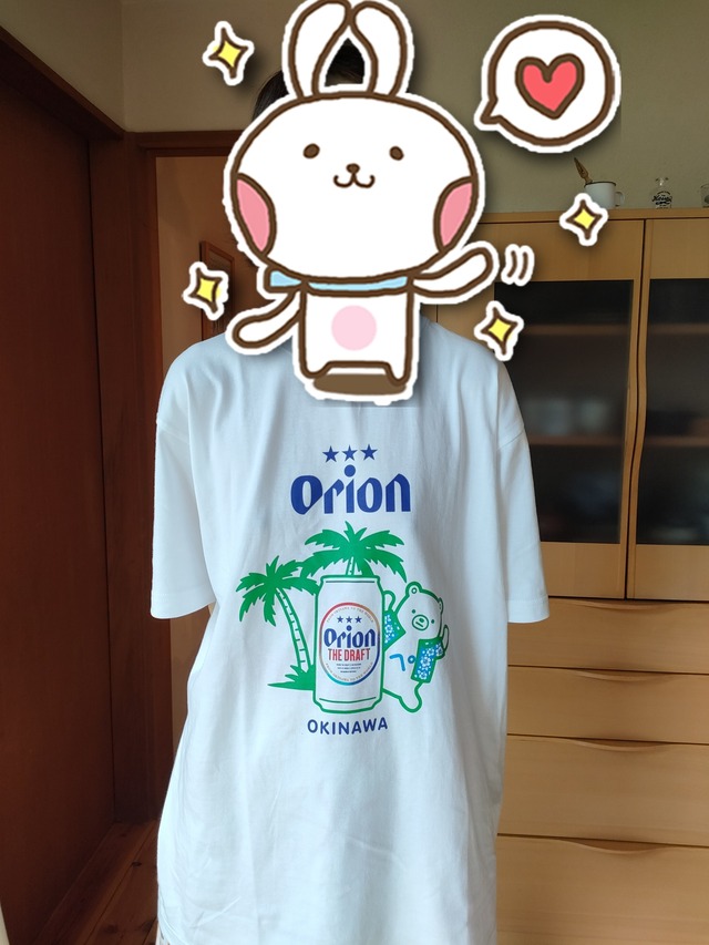 2025-07-26-13-56-26-451