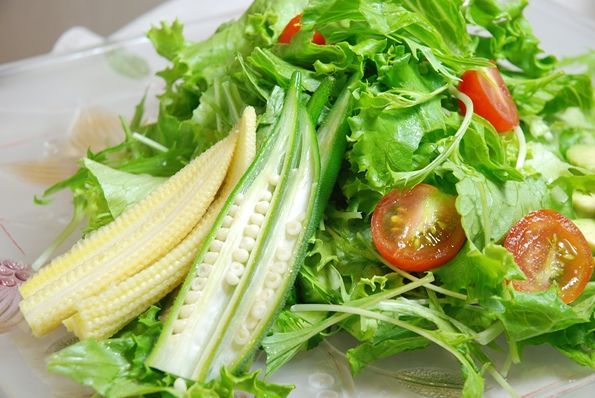 ★うさぎ食堂へようこそ★