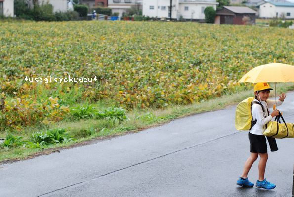 ★うさぎ食堂へようこそ★