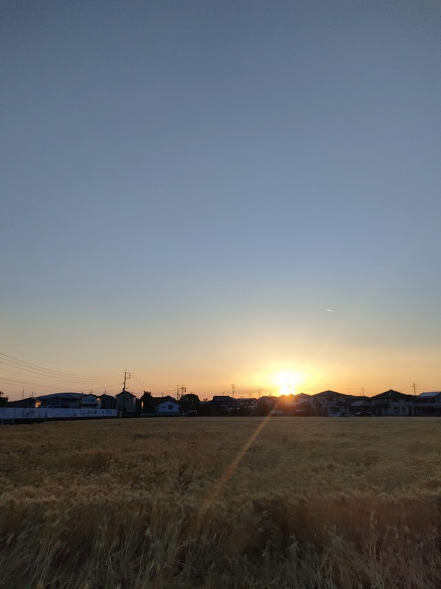 IMG20260511185216