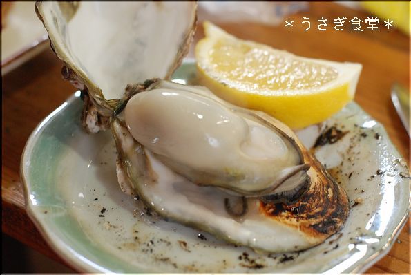 ★うさぎ食堂へようこそ★