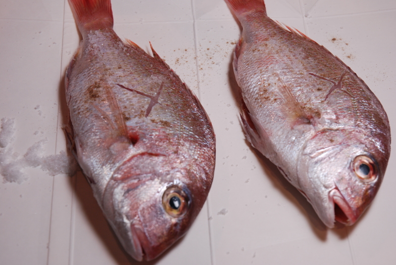 ★うさぎ食堂へようこそ★