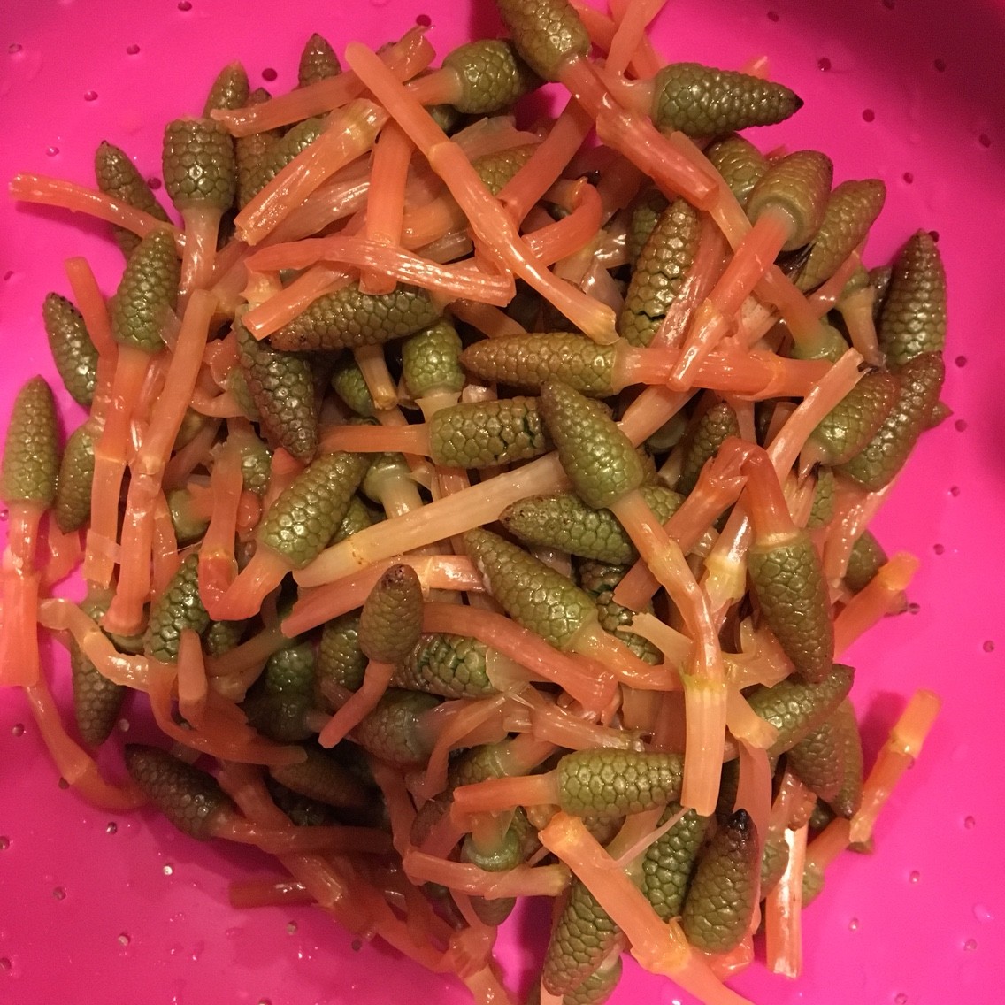 つくしの甘辛卵とじ 子供の面白い行動 うさぎ食堂へようこそ Powered By ライブドアブログ つくしの甘辛卵とじ 子供の面白い行動 うさぎ食堂へようこそ Powered By ライブドアブログ