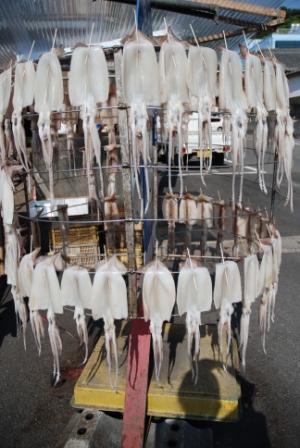 うさぎ食堂へようこそ