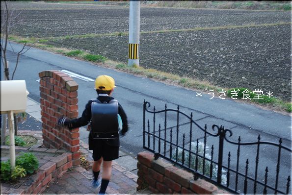 ★うさぎ食堂へようこそ★