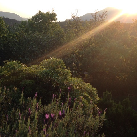 {77DD9DCF-1E88-4086-9D39-31B5AA5CD8DF:01}