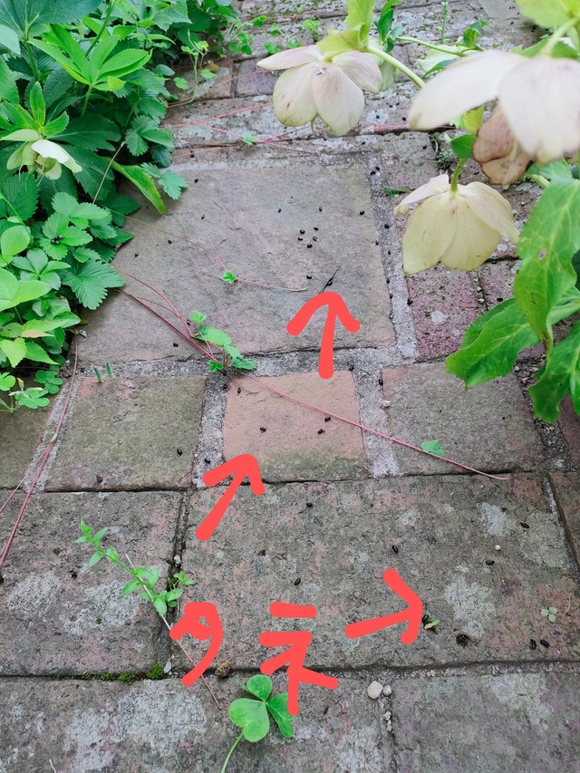 IMG20240428141216~2