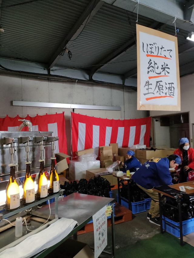 IMG20260214120234