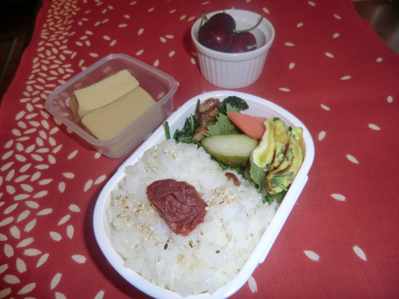 パジャマでうさぎのブログ